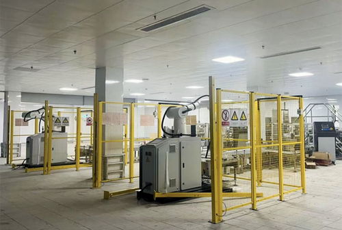 全球蛋业巨头资阳雁江筑巢 西南最大智能蛋工厂串起全产业链